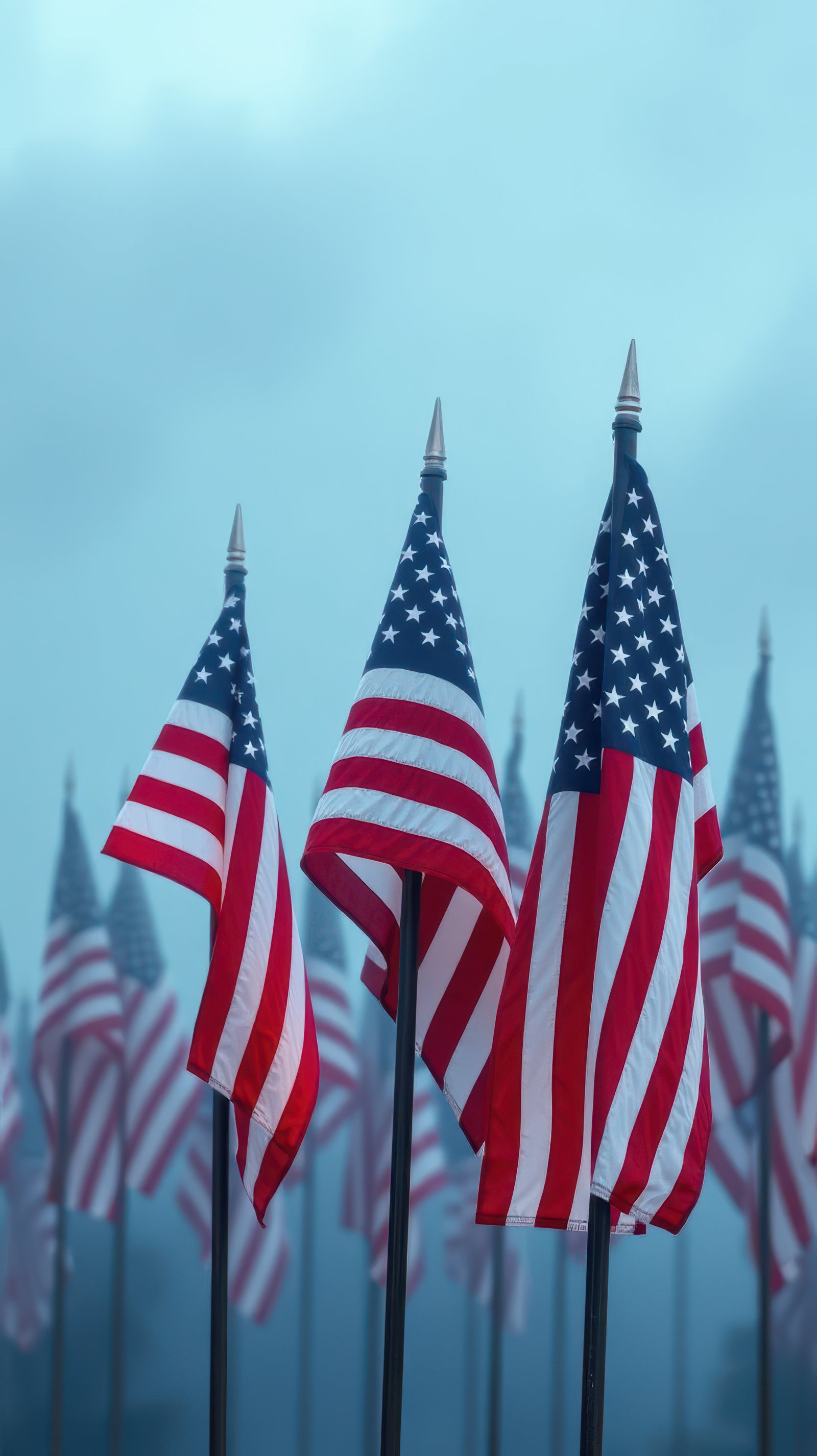 American flags wave gently under cloudy skies at a memorial site during the early morning hours